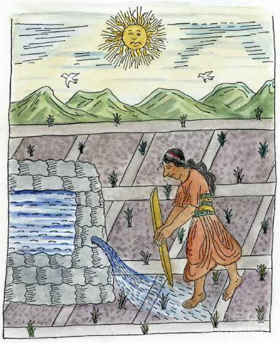 Irrigation des champs de maïs (Poma de Ayala, c. 1583)